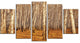 Dense Birch Forest in the Fall, Forest Canvas Art Print, 60"x32", 5 Panels
