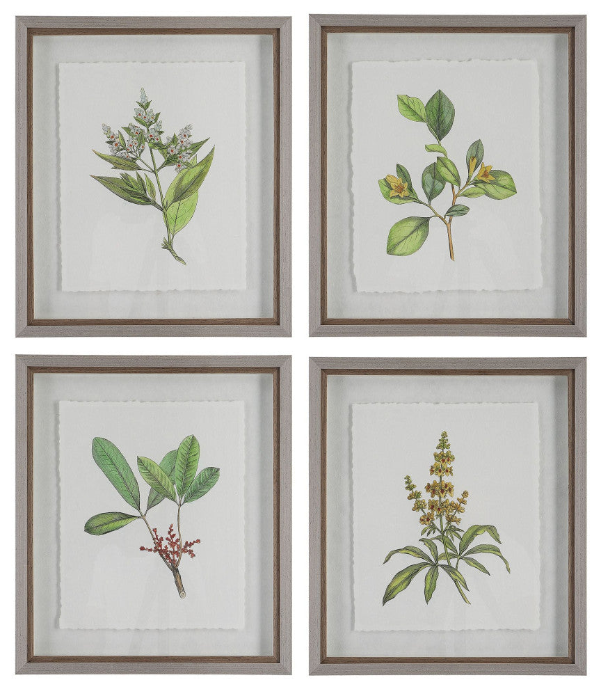 Uttermost Wildflower Study Framed Prints, Set of 4