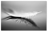 Olinda Coutinho 'White' Canvas Art, 22x32