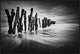 "Timber Graffiti" Framed Canvas Giclee by Sobul, 37x25"