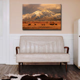 Ready2HangArt 'El Salto Cattle' by Bartlettayes, 20"x30"