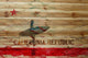 "The Republic" UV Ink Print on Natural Pine Wood, 36"x24"