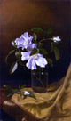 Martin Johnson Heade Cherokee Roses in a Glass on Gold Velvet Plush Wall Decal