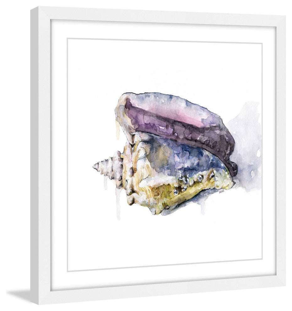 "Tidal Conch" Framed Print by Rachel Byler