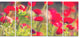 Red Poppies on Green Background, Large Flower Canvas Print, 60"x28", 5 Panels