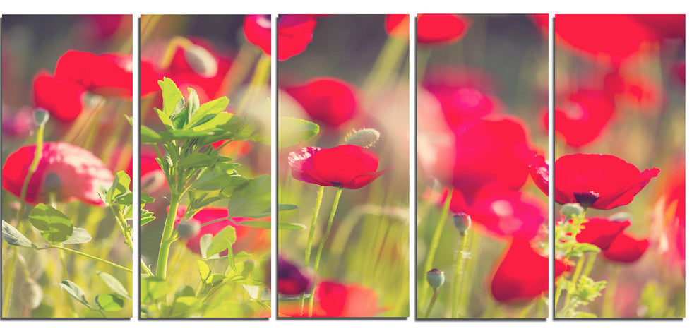 Red Poppies on Green Background, Large Flower Canvas Print, 60"x28", 5 Panels
