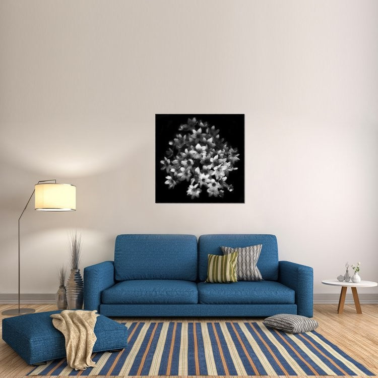 Early Sensation, 40"x40"