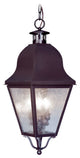 Amwell Outdoor Chain-Hang Light, Bronze
