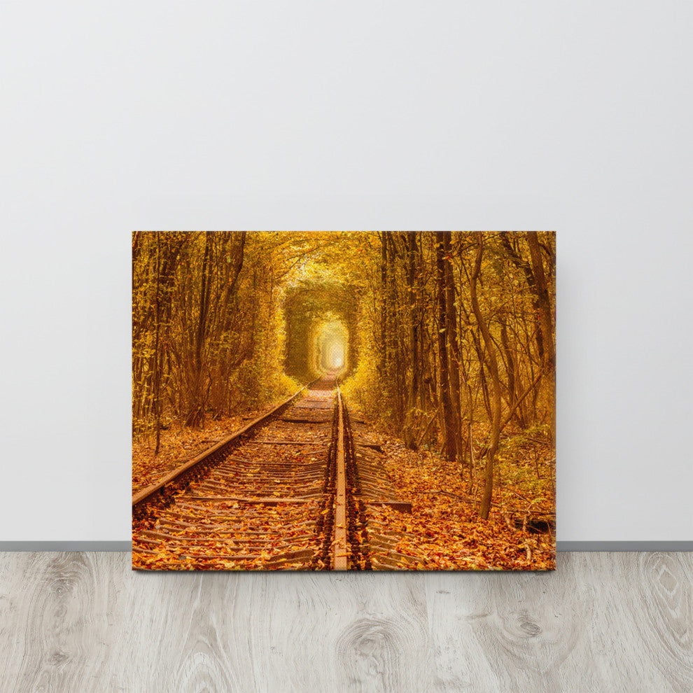 Ukraine Forest Railway Tunnel of Love Landscape Photo Canvas Wall Art Print, 16" X 20"