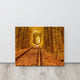 Ukraine Forest Railway Tunnel of Love Landscape Photo Canvas Wall Art Print, 16" X 20"