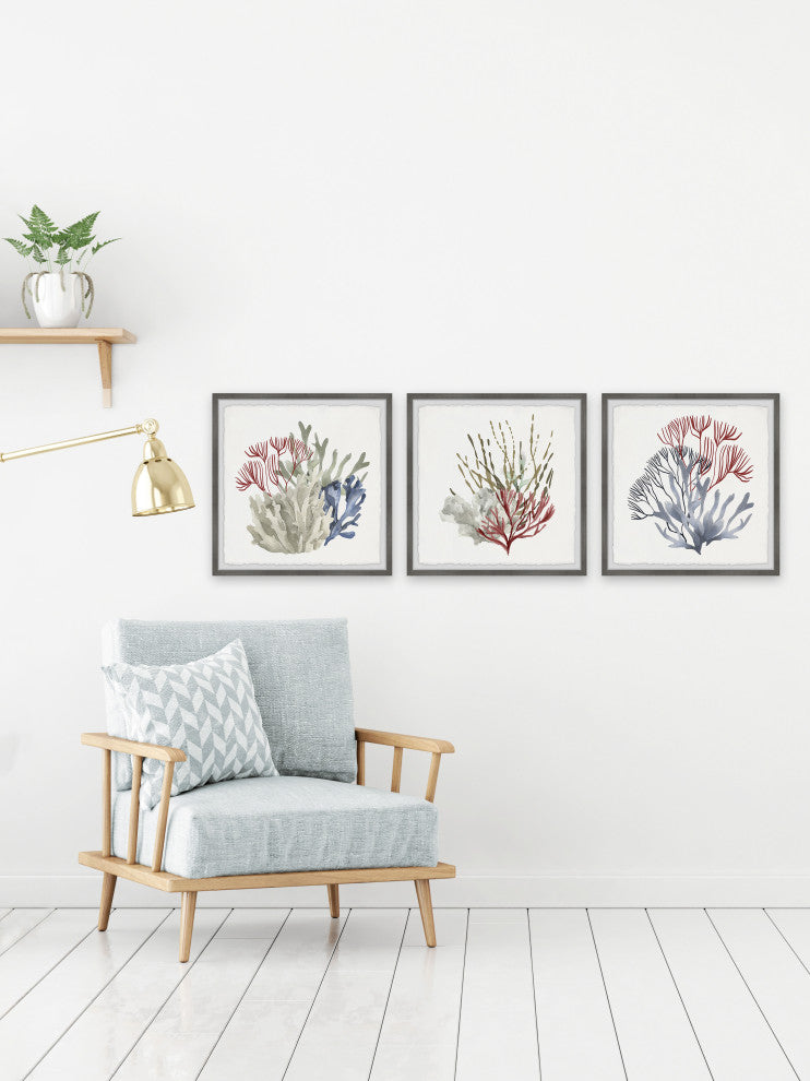 Marine Life Display Triptych, 3-Piece Set, 32x32 Panels
