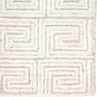 Jaipur Living Harkness Handmade Geometric White/Gray Area Rug, 5'x8'