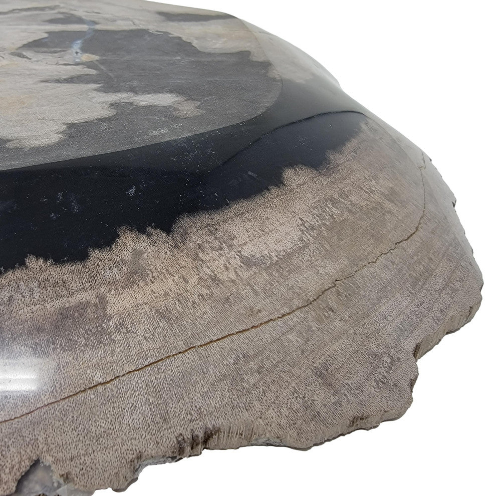 Large 17 in Petrified Wood Stone Tray Centerpiece Plate Fossil Live Edge Natural