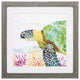 Sea Creature Turtle Framed Art