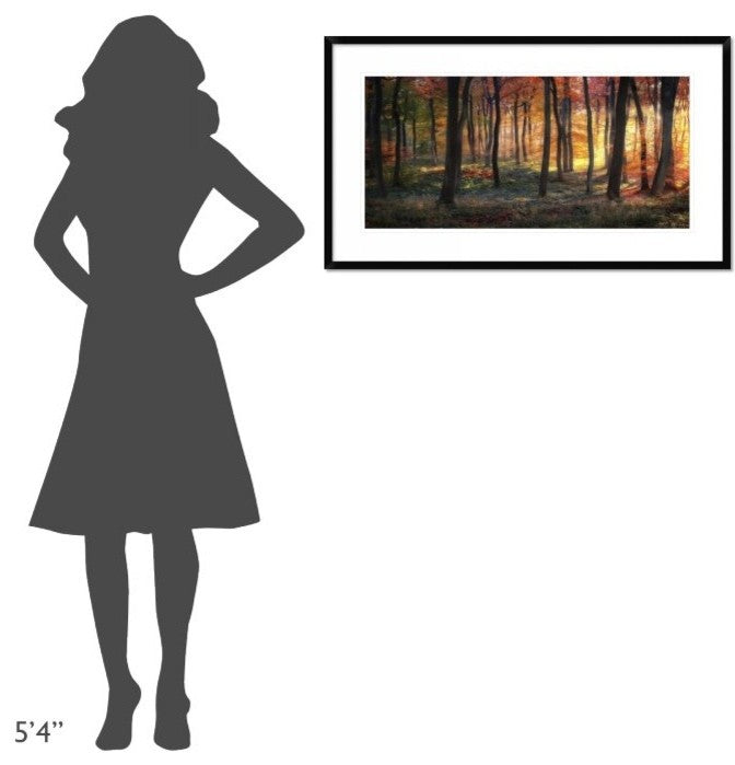 "Autumn Woodland Sunrise" Framed Digital Print by Photokes, 38x22"