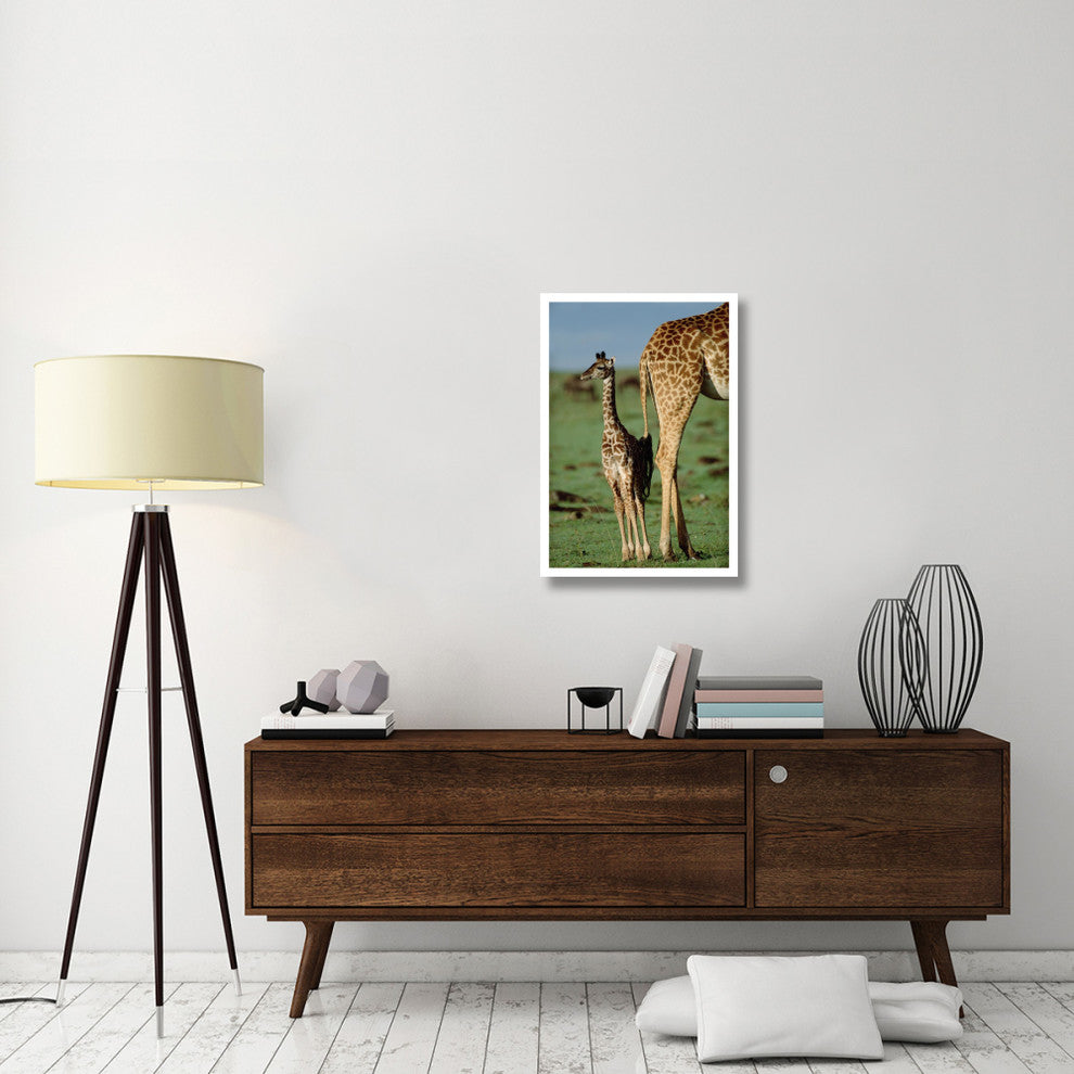 "Giraffe mother with young, Kenya" Paper Print by Tim Fitzharris, 22"x32"