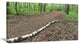 "Trunk of Birch On The Track" Contemporary Landscape Wall Art, 1 Panel, 60"x28"