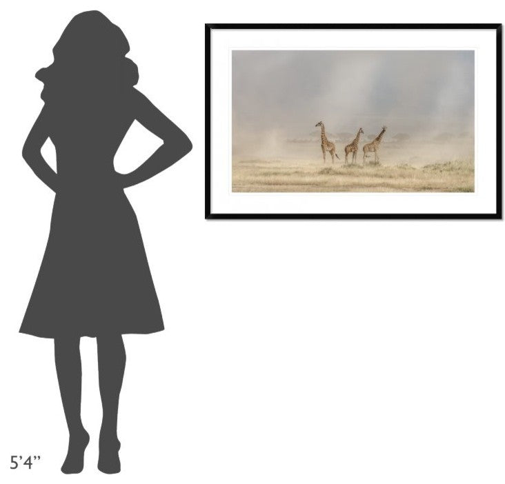 "Weathering The Amboseli Dust Devils"  by Jeffrey C. Sink, 44x29"