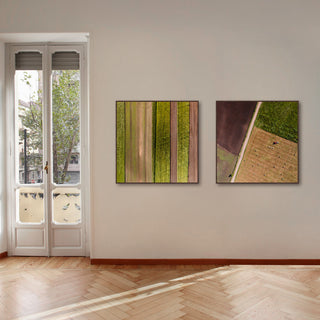 Farm Rows Diptych, 36x18