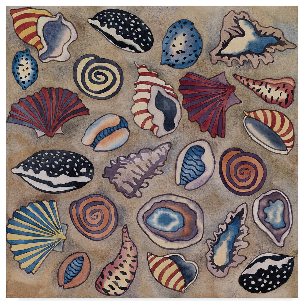 "Sea Shells" by Carissa Luminess, Canvas Art