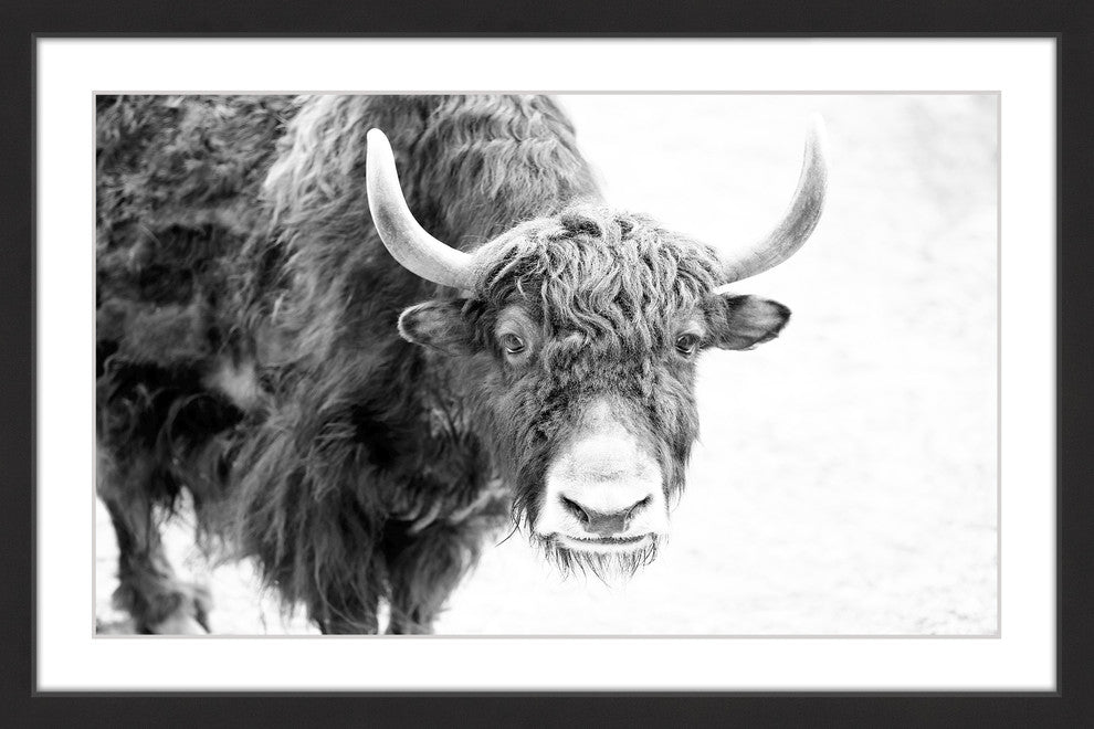 Marmont Hill, "Buffalo Forward" Framed Painting Print, 45x30