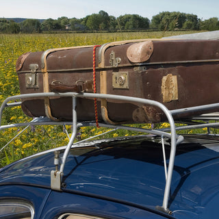 Stalwart 24" Bungee Cords 10 Pack