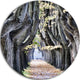 Tree Outside Lucca Italy, Landscape Photo Large Disc Metal Artwork, 23"