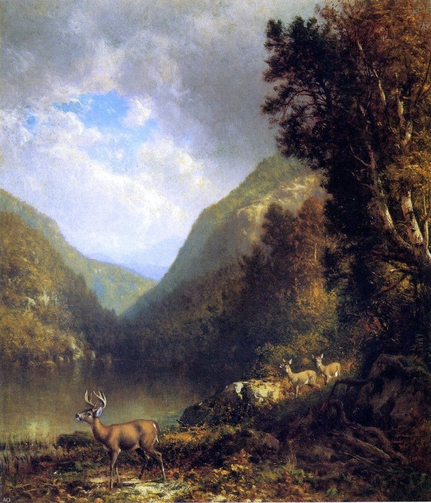 William M Hart Deer in the Adirondacks, 20"x25" Wall Decal