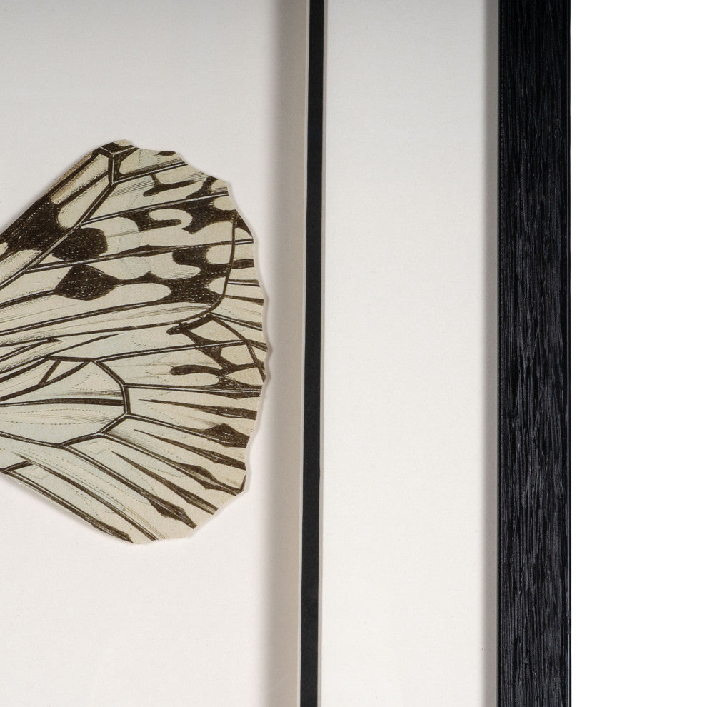 Aquatic Reverie, Shadow Box