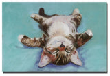 'Little Napper' Canvas Art by Pat Saunders-White