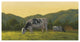 "Farm Life III" Digital Paper Print by James Wiens, 74"x38"