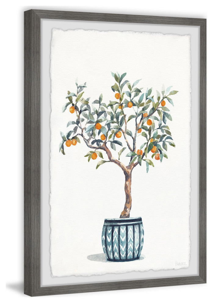 "Bonsai Orange Tree" Framed Painting Print