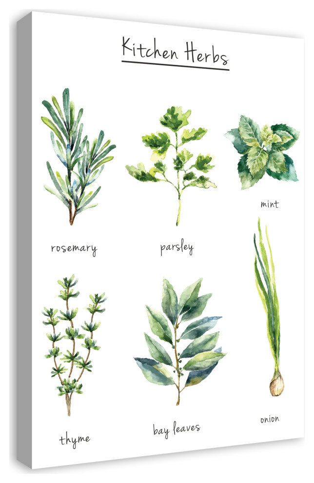 Watercolor Kitchen Herbs Canvas 20x30 Canvas Wall Art