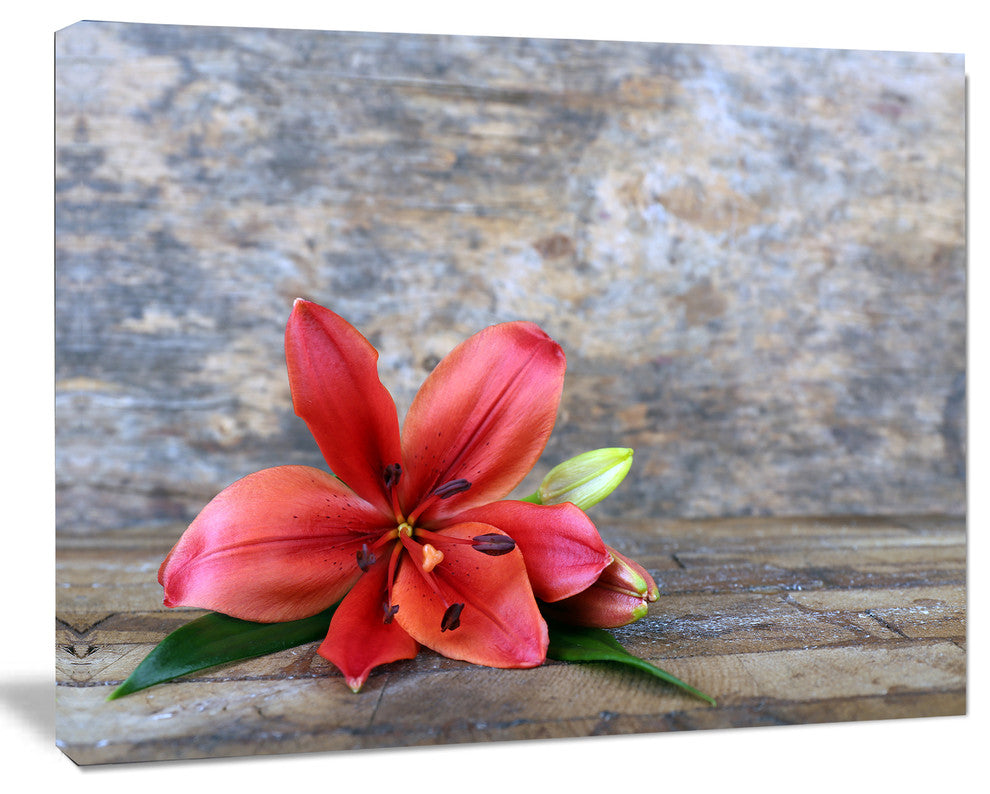 Beautiful Fallen Red Lily Flower, Large Floral Canvas Artwork, 20"x12"