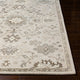 Surya Caesar CAE-1197 Traditional Area Rug, Taupe, 3' x 12' Runner