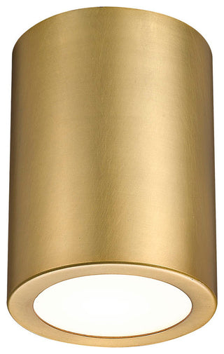 Z-Lite 2302F1 Harley 5"W Flush Mount Ceiling Fixture - Rubbed Brass