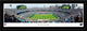 Carolina Panthers Football (Panther logo) - Select Frame