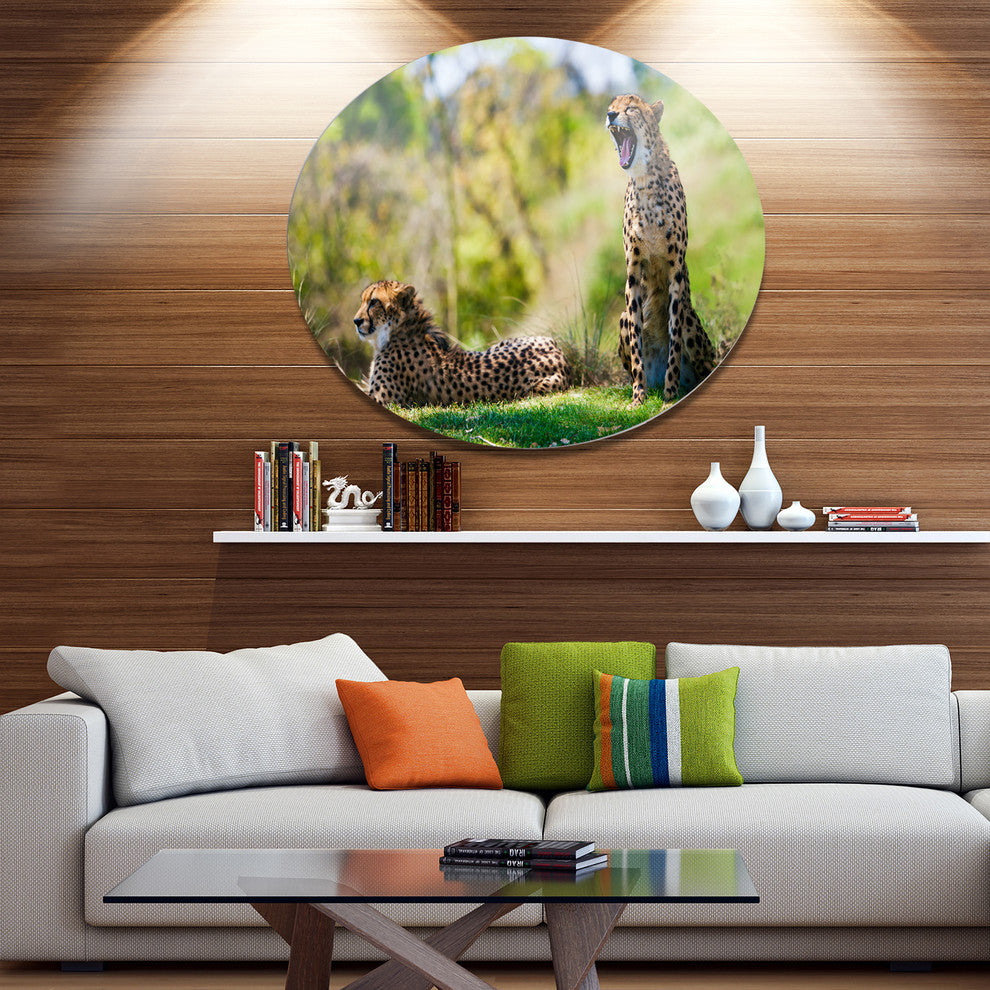 African Cheetahs Relaxing In Grass, African Round Wall Art, 38"