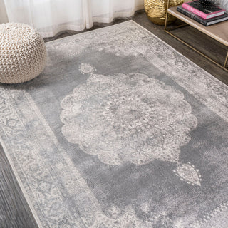 Rosalia Cottage Medallion Area Rug, Gray/Dark Gray, 8 X 10