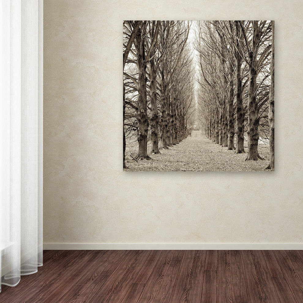 Alan Blaustein ''Hampton Gates Promenade III'' Canvas Art, 14x14