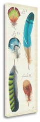 "Ornithology III Panel" By Daphne Brissonnet, Giclee on Gallery Wrap Canvas