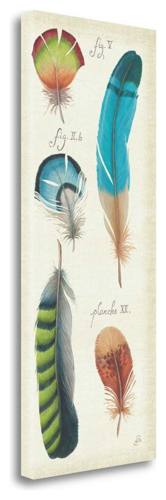 "Ornithology III Panel" By Daphne Brissonnet, Giclee on Gallery Wrap Canvas