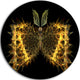 Golden Fractal Butterfly In Dark, Abstract Art Disc Metal Artwork, 38"