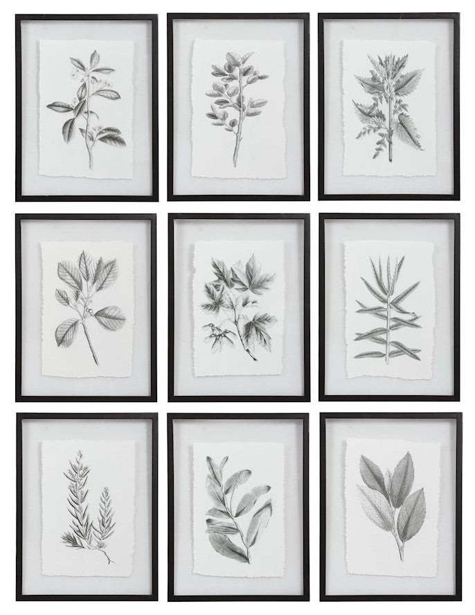 Uttermost Farmhouse Florals Framed Prints, Set of 9, Matte Black Frame, 41617