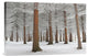 "In White" Stretched Canvas Giclee by Dragisa Petrovic, 24"x16"