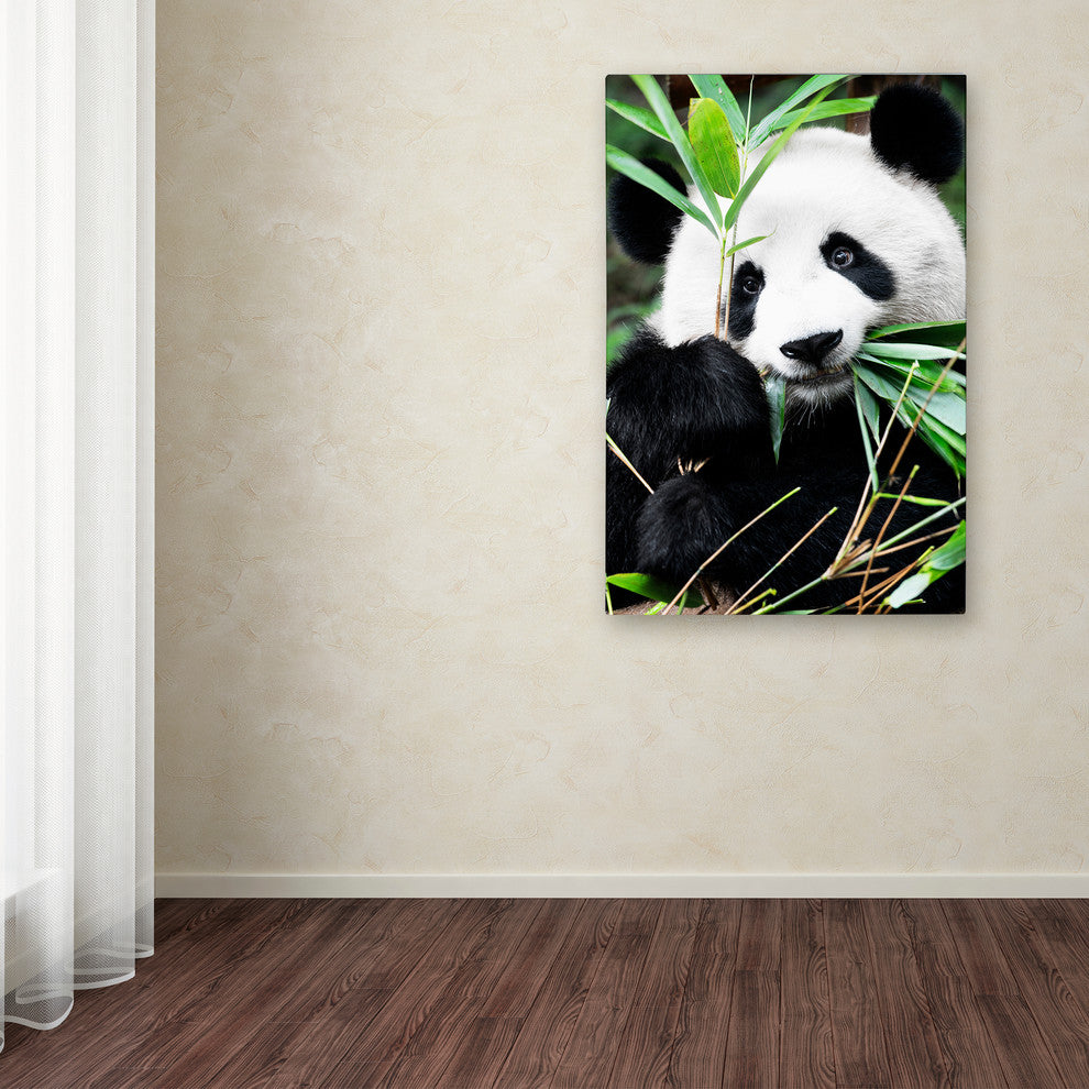 Philippe Hugonnard 'Giant Panda I' Canvas Art, 19"x12"
