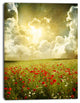 Wild Poppies on Cloudy Background, Extra Large Landscape Canvas Art, 28"x60"