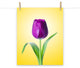 Purple Tulip on Yellow Minimal Floral Nature Photo Loose Wall Art Print, 16" X 20"