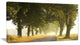 "Country Road Below Green Trees" Landscape Canvas Photo Print, 40"x20"