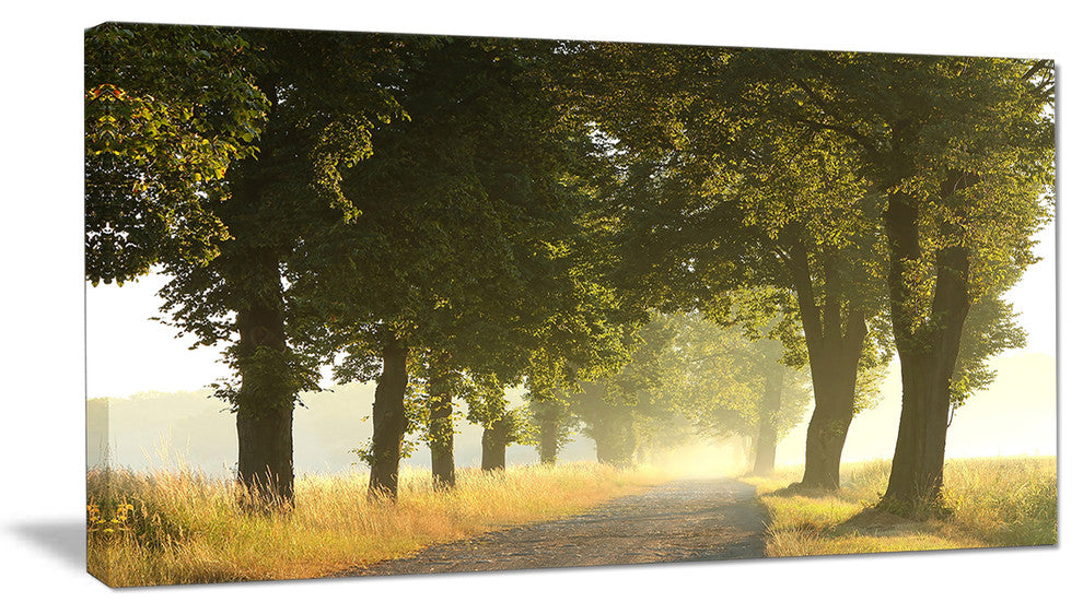 "Country Road Below Green Trees" Landscape Canvas Photo Print, 40"x20"